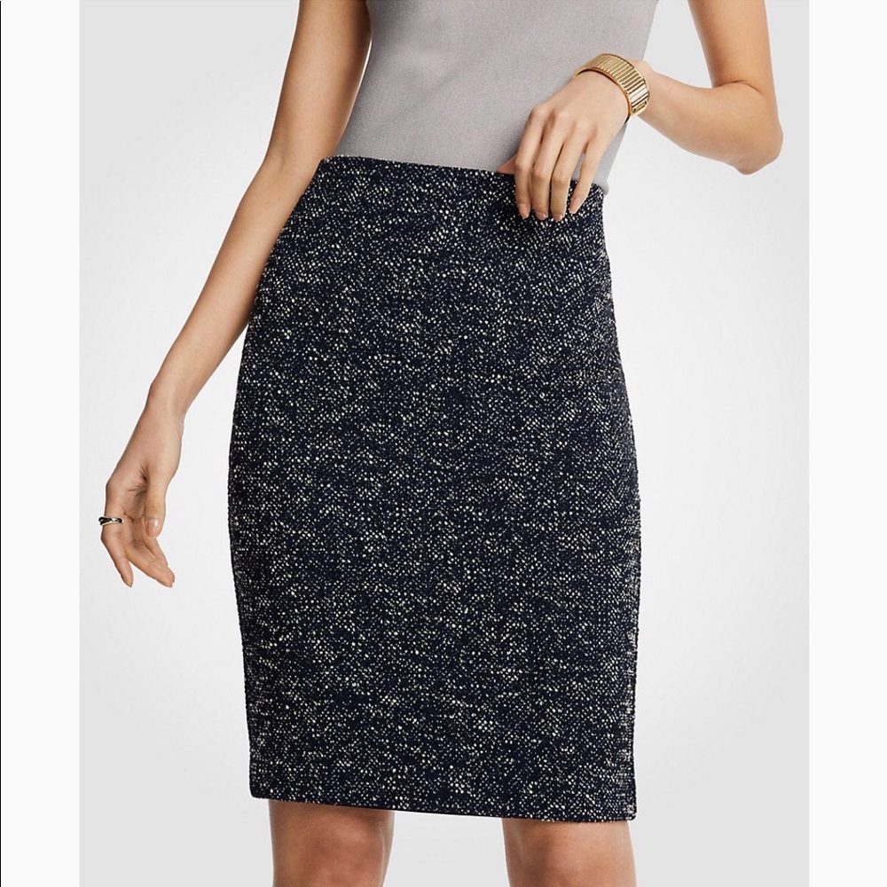 Ann Taylor Knit Blue Skirt Full Zipper Sz 6